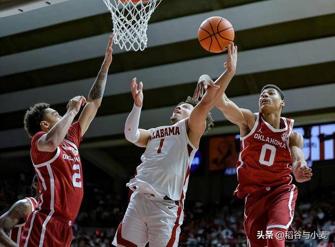 jiuyou Sports-关于JackeyLove新星爆冷表现突出，篮网前途光明！的信息-jiuyou Sports